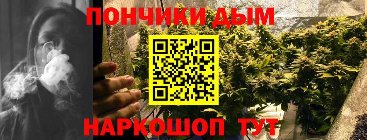 Бошки марихуана гибрид  Бошки Шишки OG Kush  Бийск  Вход с VPN  Бошки марихуана семена 